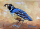 Covid quail #19 (Sold)